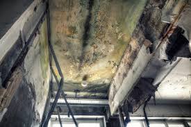 Best Asbestos and Lead Testing During Mold Inspection  in Teutopolis, IL